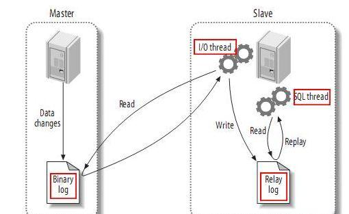 oracle数据库和mysql区别(Oracle数据库与MySql数据库的区别) oracle数据库和mysql区别(Oracle数据库与MySql数据库的区别)