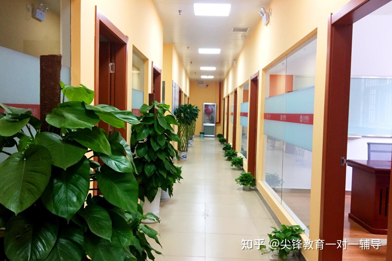 尖锋教育培训机构怎么样(尖锋教育培训机构怎么样可靠吗) 尖锋教育培训机构怎么样(尖锋教育培训机构怎么样可靠吗)