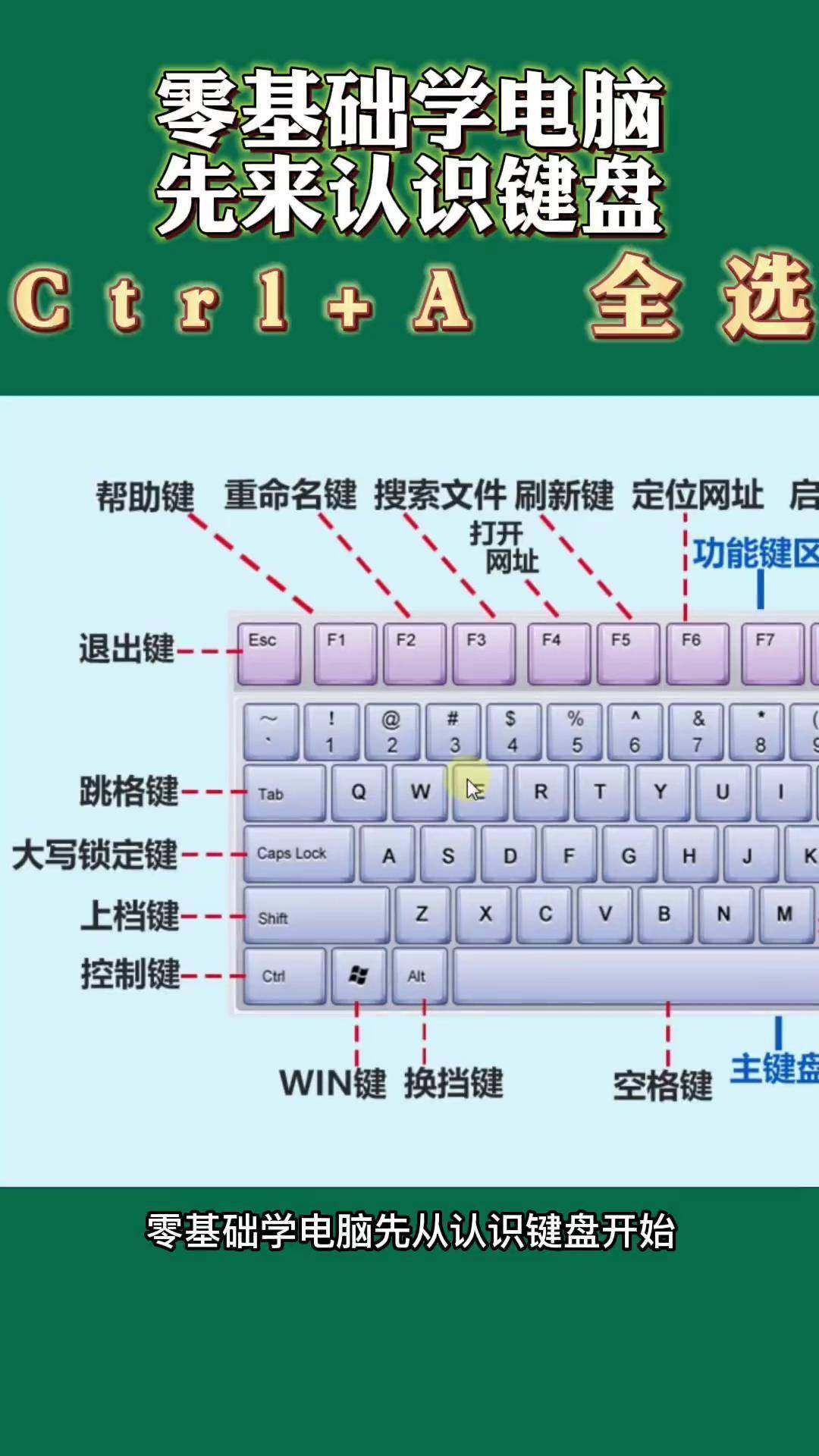 电脑制表入门教程零基础(电脑制表入门教程零基础书) 电脑制表入门教程零基础(电脑制表入门教程零基础书)