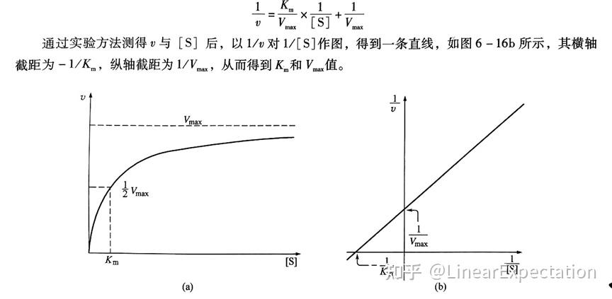 asp是什么意思生物化学(生物化学中ADP是什么) asp是什么意思生物化学(生物化学中ADP是什么)