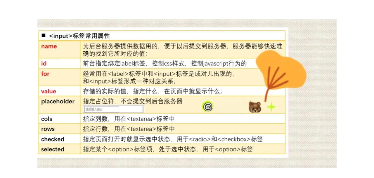 input的常用属性(input的三个基本用法)