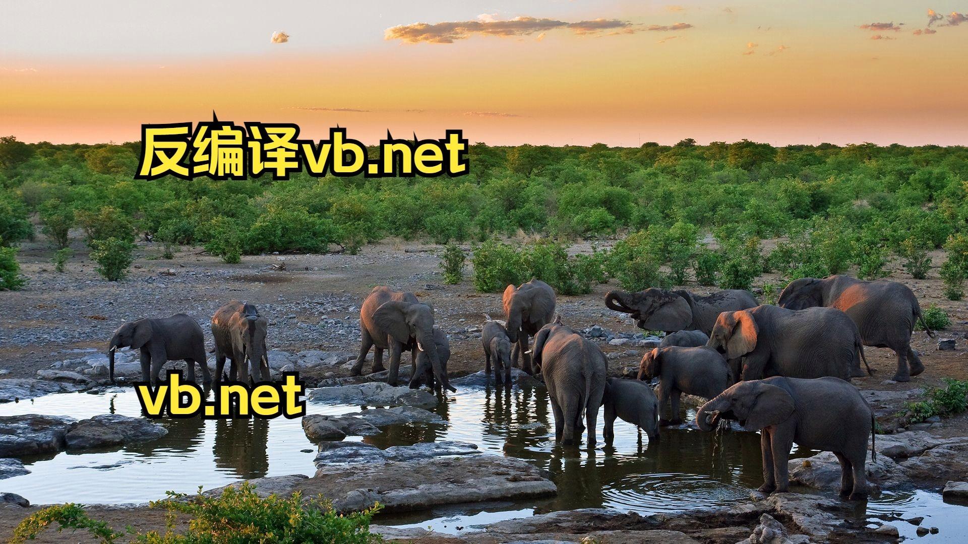 vb编程入门教程基础(vb编程主要是干什么用的) vb编程入门教程基础(vb编程主要是干什么用的)