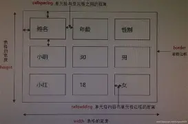 cellpadding是什么标记的属性(cellspacing和cellpadding) cellpadding是什么标记的属性(cellspacing和cellpadding)