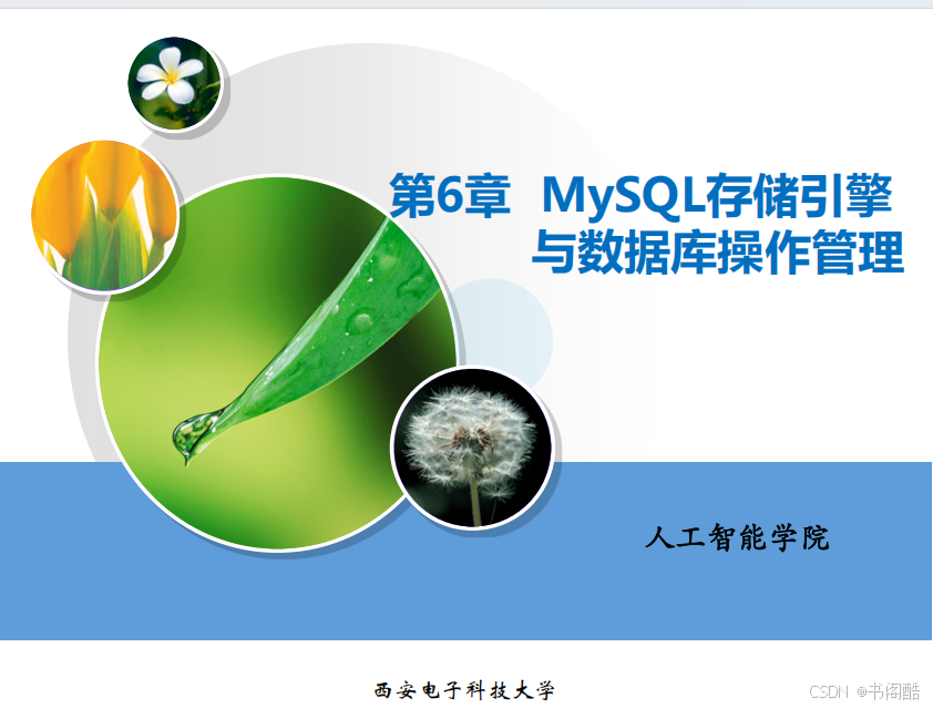 数据库原理及应用pdf(数据库原理及应用电子版教材)