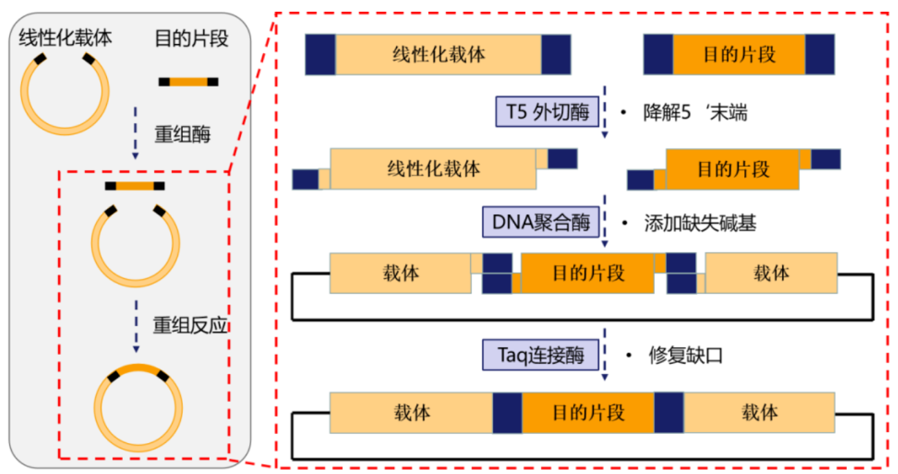 clonenode方法的简单介绍 clonenode方法的简单介绍