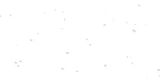 js动态樱花特效(html3d樱花特效) js动态樱花特效(html3d樱花特效)