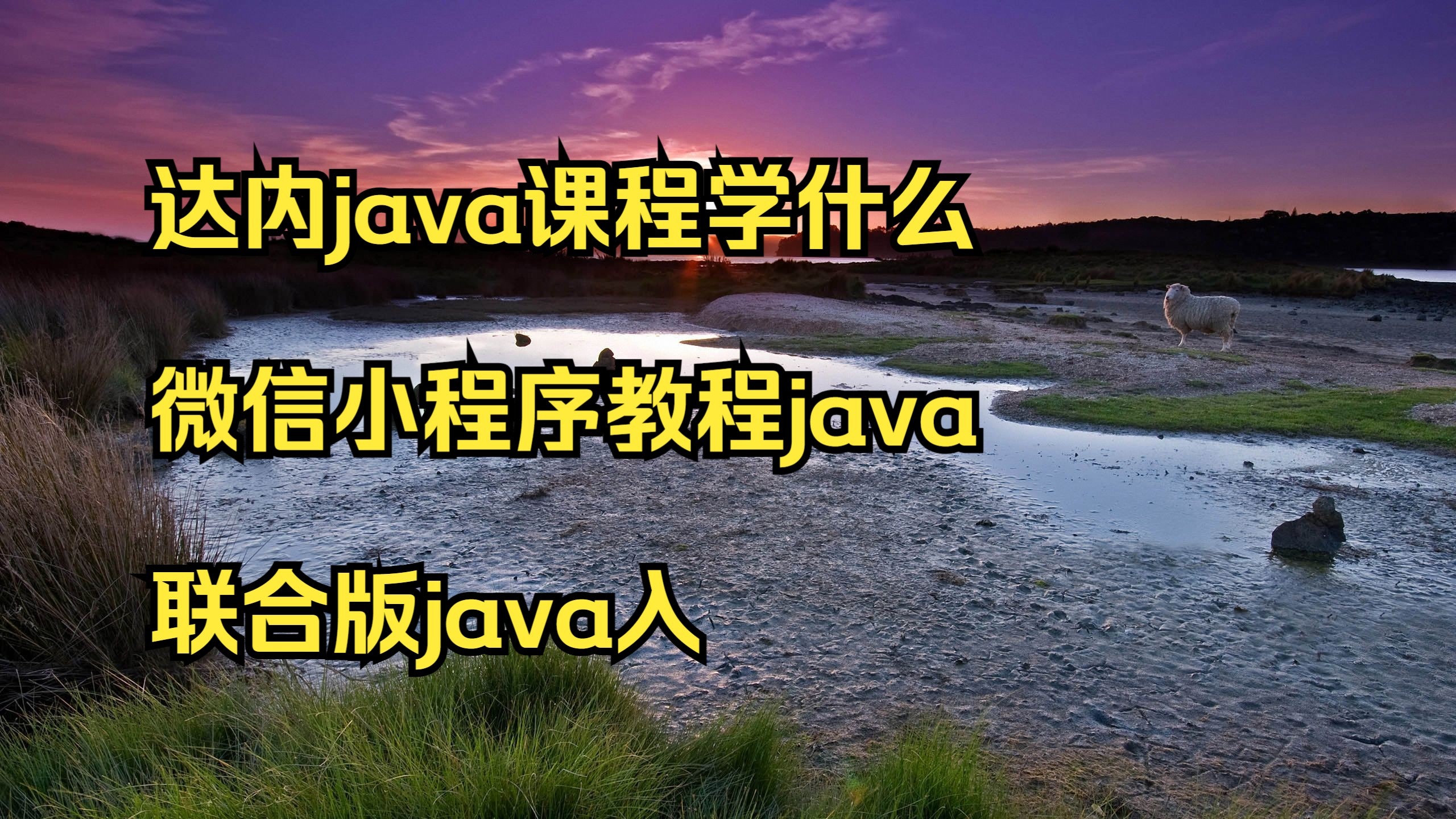 java课程教学(Java自学课程视频)