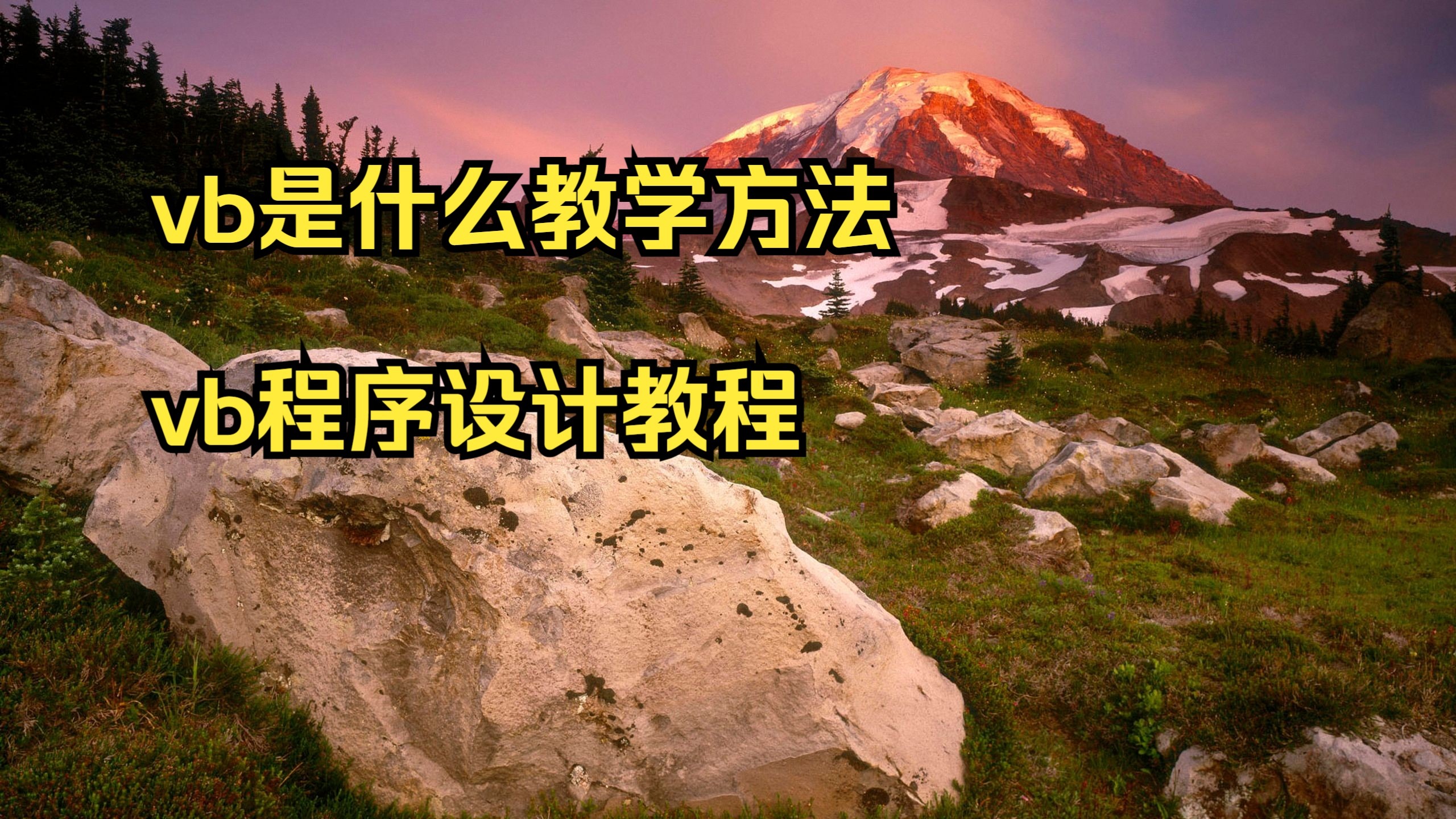 vb程序设计难吗(vb程序设计及应用) vb程序设计难吗(vb程序设计及应用)