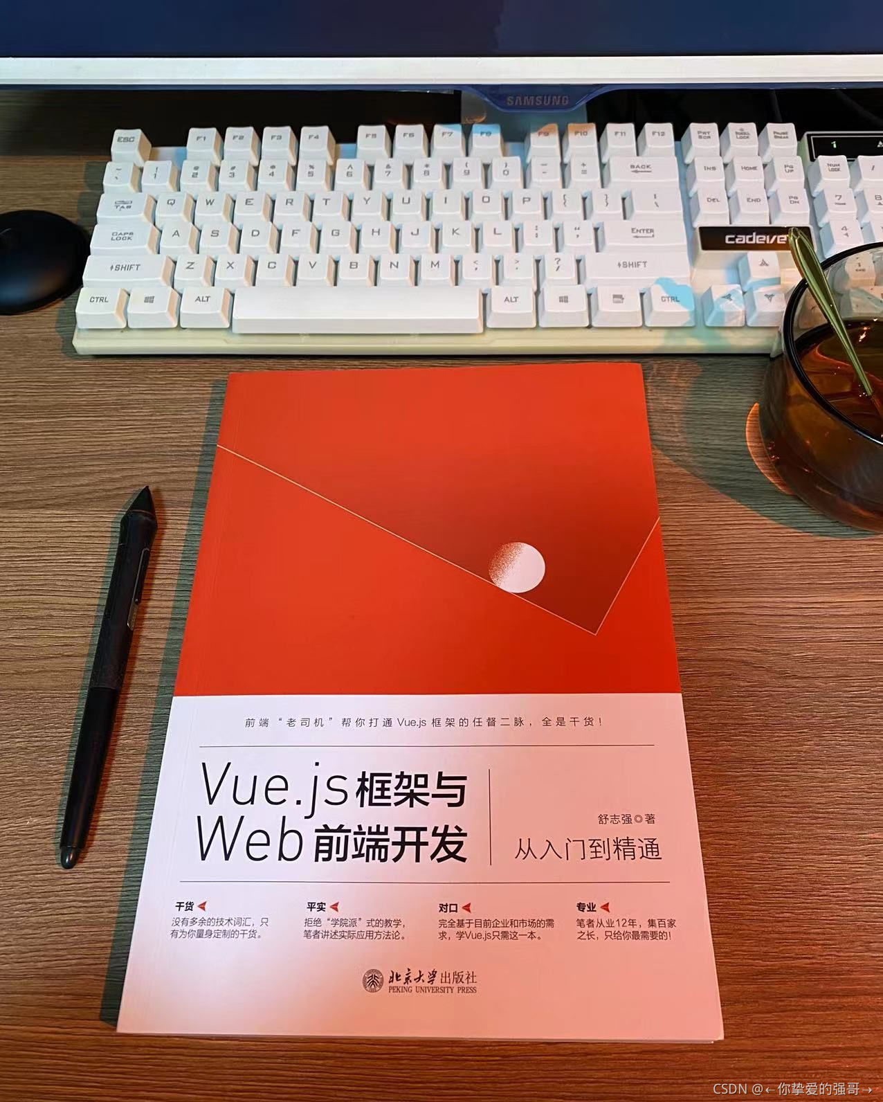 js教程从入门到精通pdf(JavaScript菜鸟教程) js教程从入门到精通pdf(JavaScript菜鸟教程)