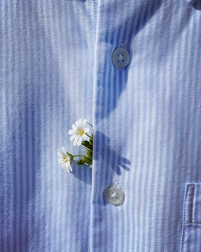 buttonup(buttonup和snapup) buttonup(buttonup和snapup)