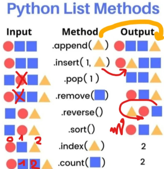 python数组函数(python数组和列表)
