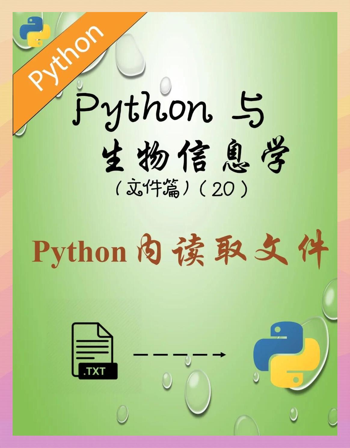 python菜鸟教程官网(python菜鸟教程pdf下载) python菜鸟教程官网(python菜鸟教程pdf下载)
