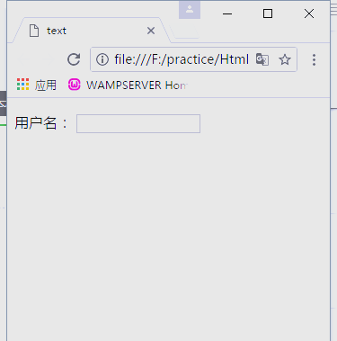 htmlinputvalue值(NubiaNeovisionGlass使用教程)