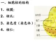 onmousemove什么意思(removebeforeuse什么意思) onmousemove什么意思(removebeforeuse什么意思)
