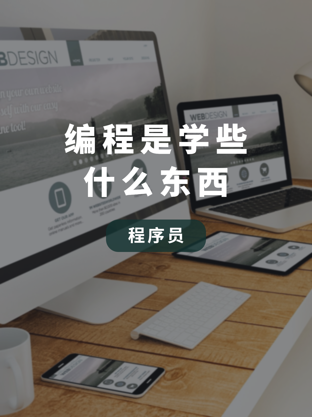 软件开发语言都有哪些(手机软件开发语言有哪些) 软件开发语言都有哪些(手机软件开发语言有哪些)