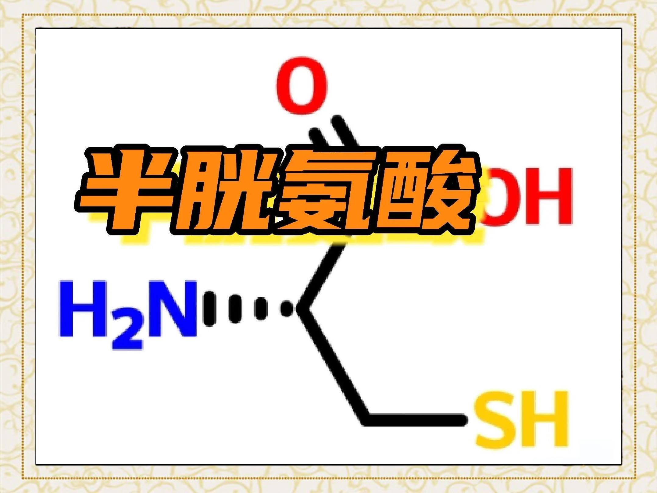 asp是什么氨基酸的缩写(asp和asn是什么氨基酸) asp是什么氨基酸的缩写(asp和asn是什么氨基酸)
