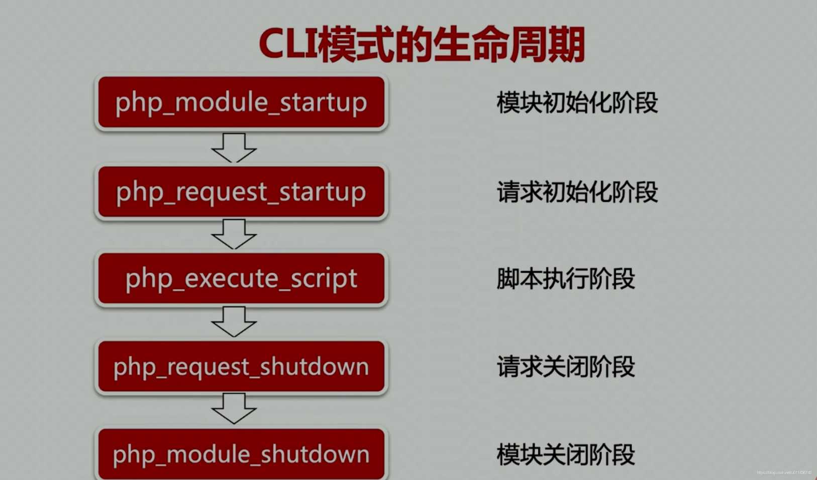 php7和php5(php7和php8教材差别大吗) php7和php5(php7和php8教材差别大吗)