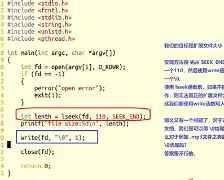 lseek函数用法(large函数的用法示例) lseek函数用法(large函数的用法示例)