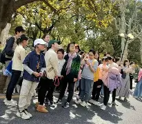 现在学php的都是傻子(学java好还是php好)