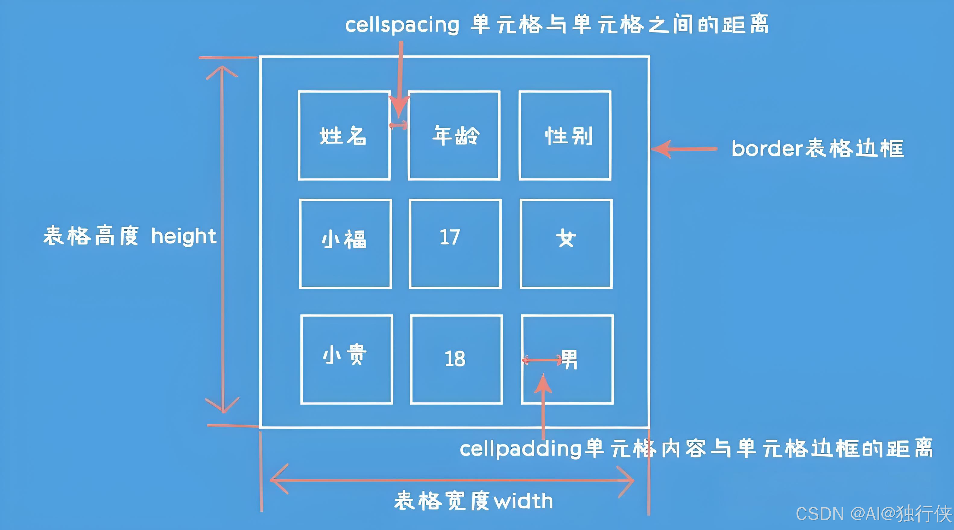 html中table标签的属性(html标签的 checked属性)