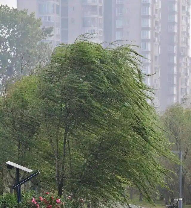 大风天气车辆高速防横风技巧(大风天气行车注意事项和措施图片)