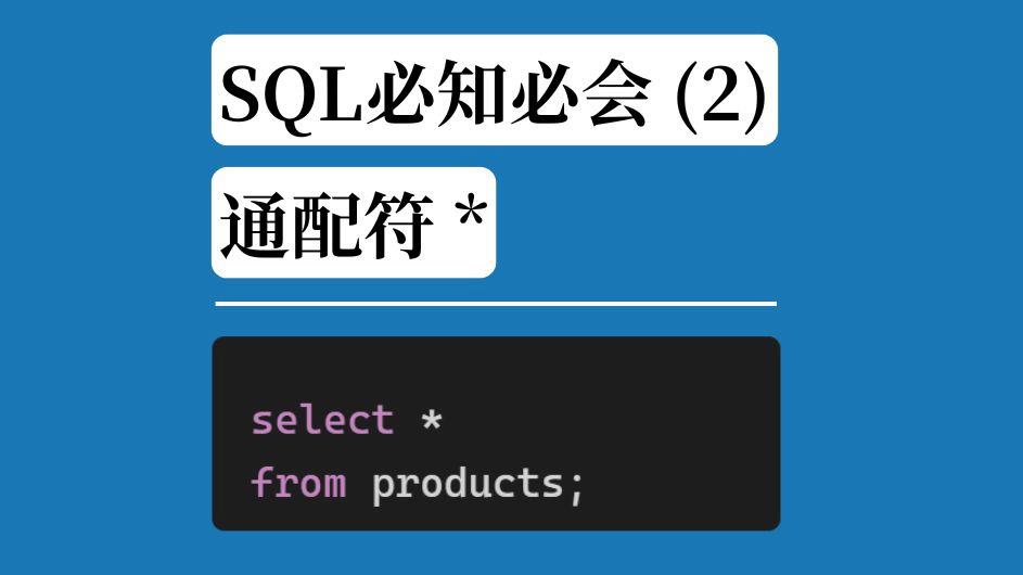 sql通配符的使用(sql通配符的使用技巧)