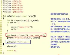 fseek和lseek的区别(fseek函数一般用来干什么的)