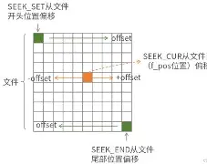 fseek和lseek的区别(fseek函数一般用来干什么的)