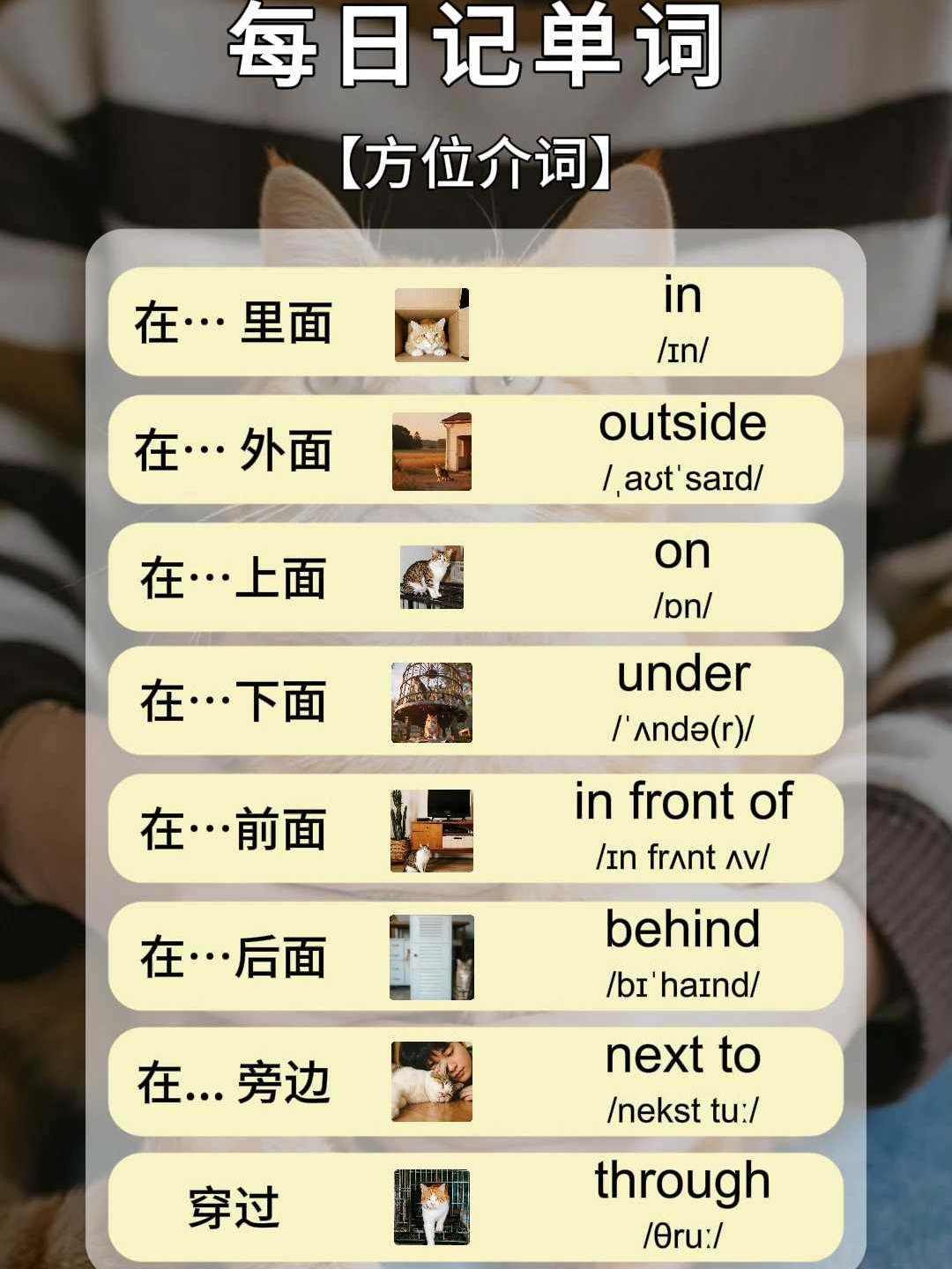 width是什么意思英语(wiggle是什么意思英语翻译成中文)