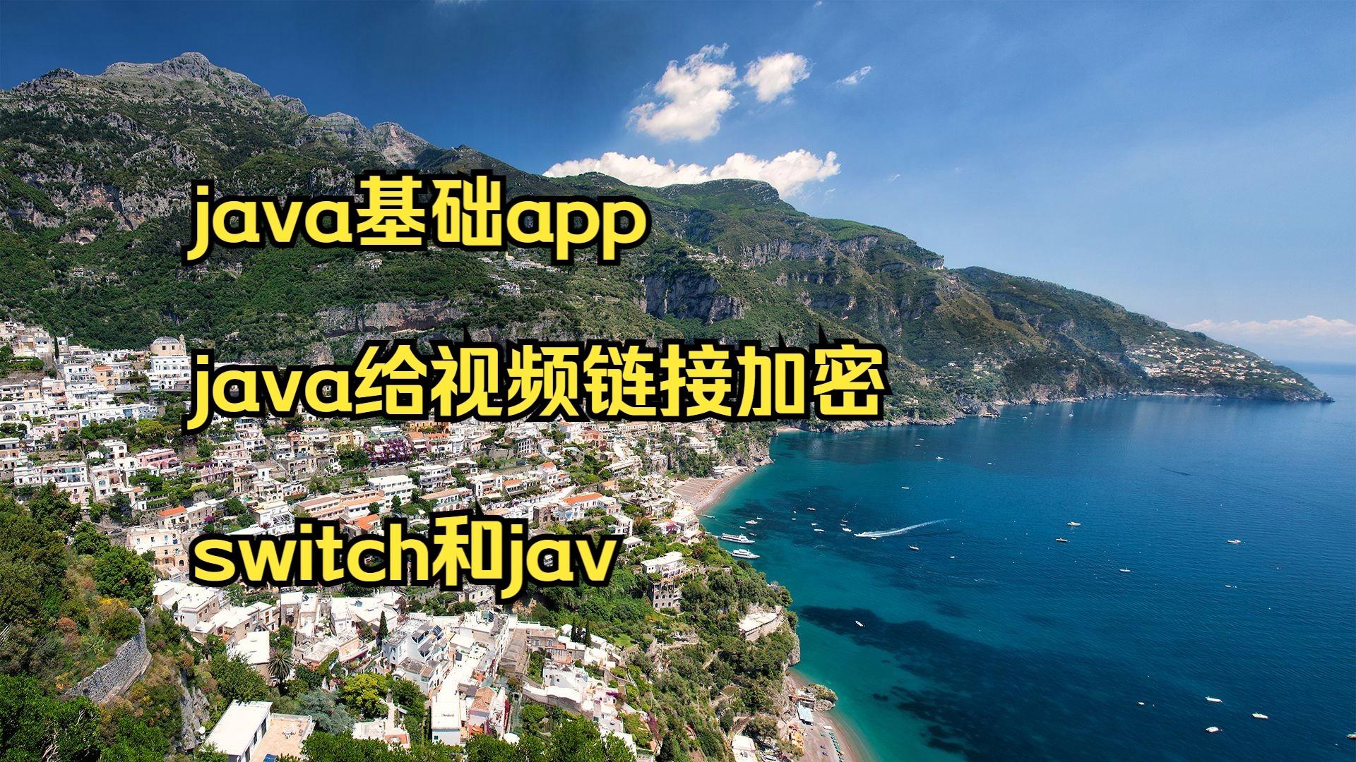 java中switch(java中switch结束运行)
