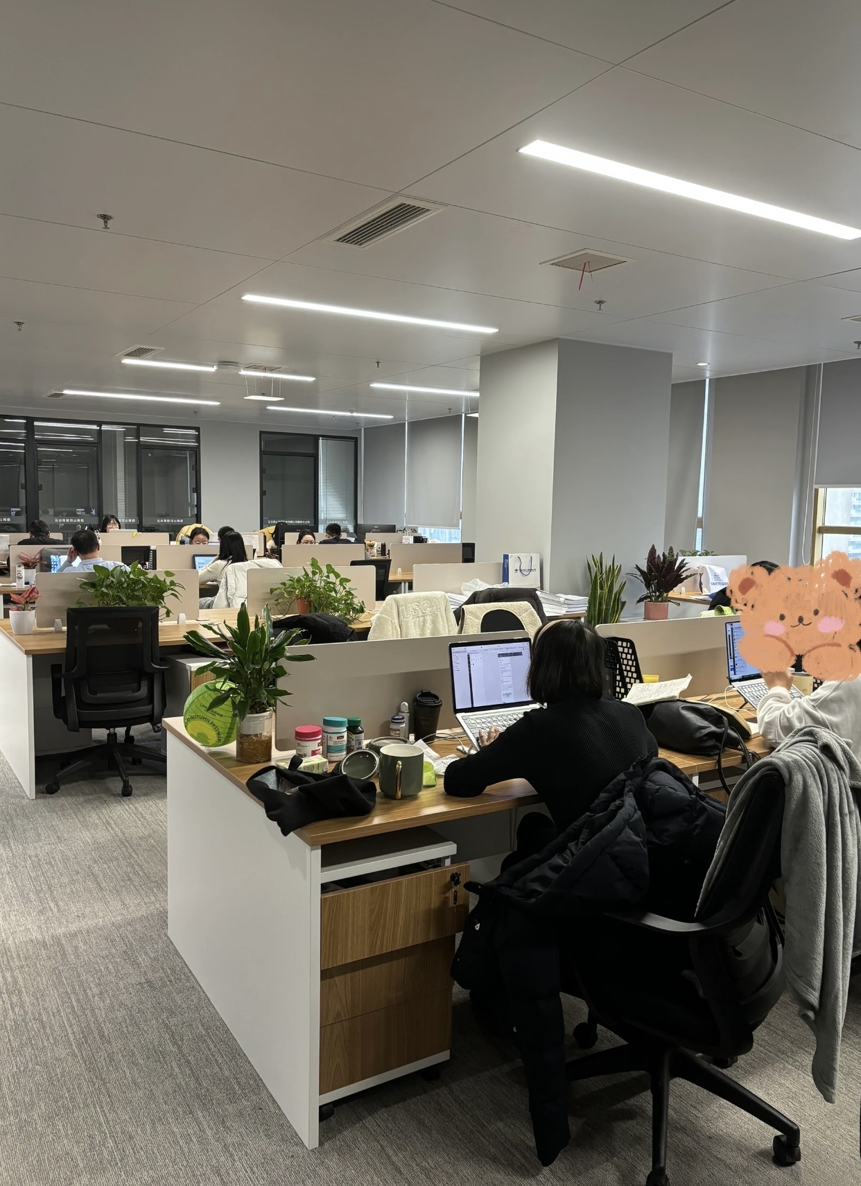 大龄程序员都干啥去了(大龄程序员 下岗了还能干什么) 大龄程序员都干啥去了(大龄程序员 下岗了还能干什么)