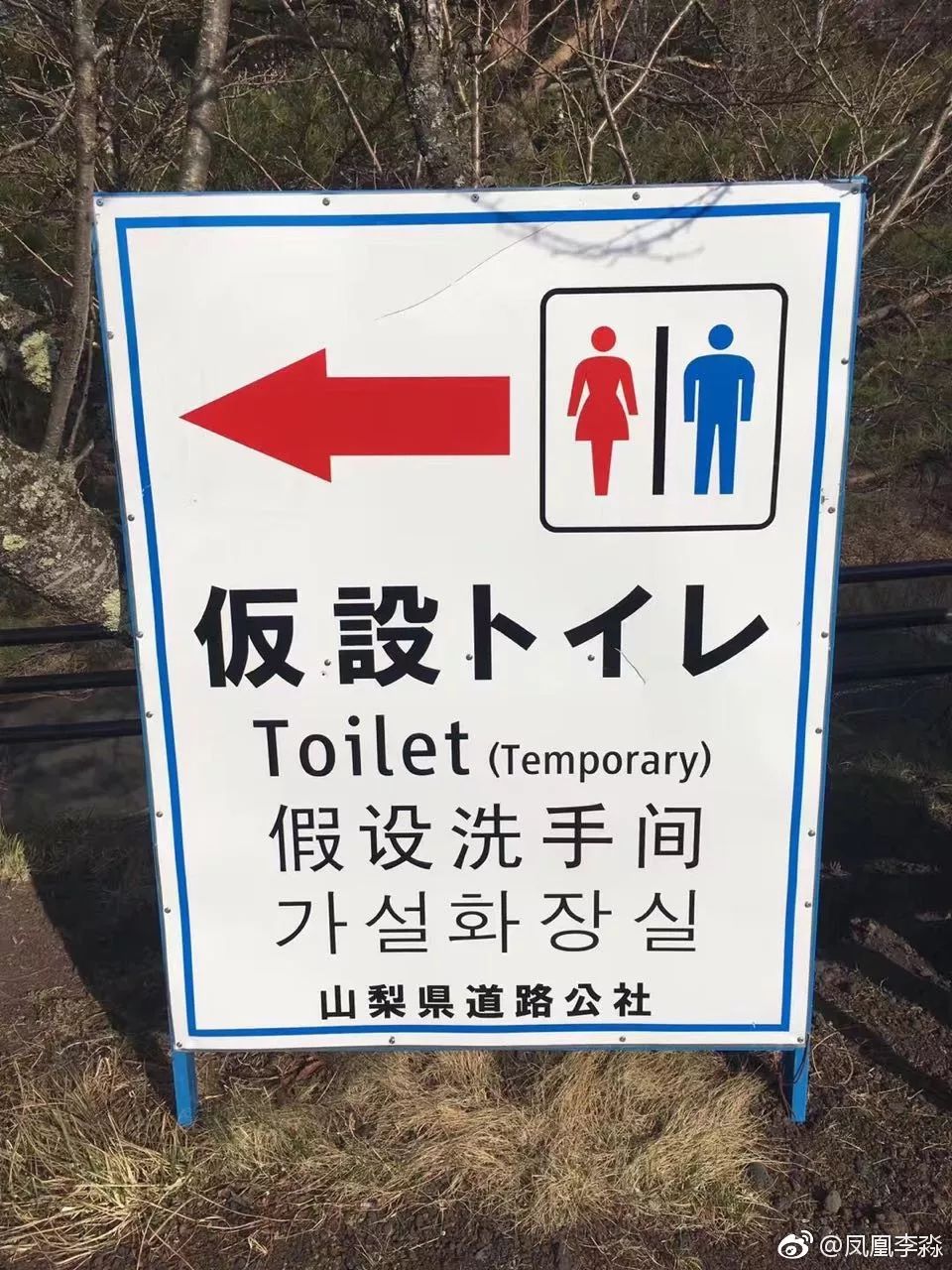 border的中文翻译(border的读音和意思)