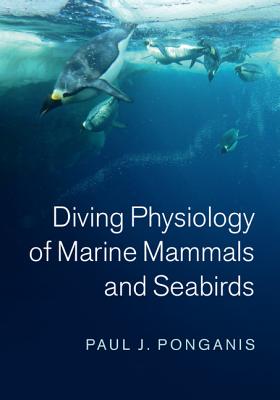 diving(diving怎么读英语) diving(diving怎么读英语)