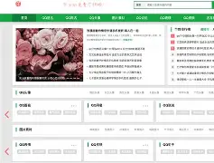 织梦网站源码一品资源(织梦企业模板去一品资源网)