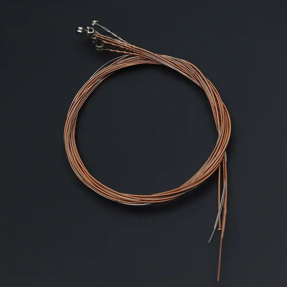 stringed(stringed例句)