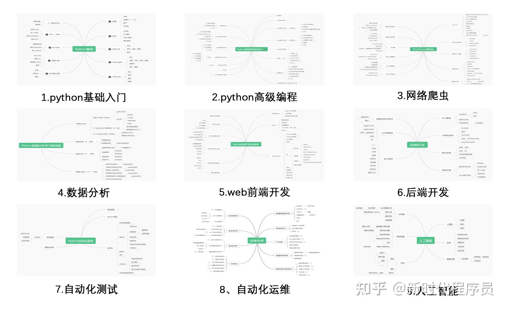 编程初学者应该先学什么(编程初学者应该先学什么技能)