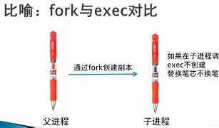 fork函数在哪个头文件(floor函数是哪个头文件) fork函数在哪个头文件(floor函数是哪个头文件)