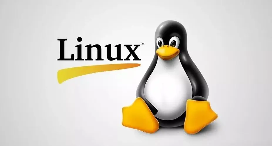 linux网站(linux版软件网站) linux网站(linux版软件网站)