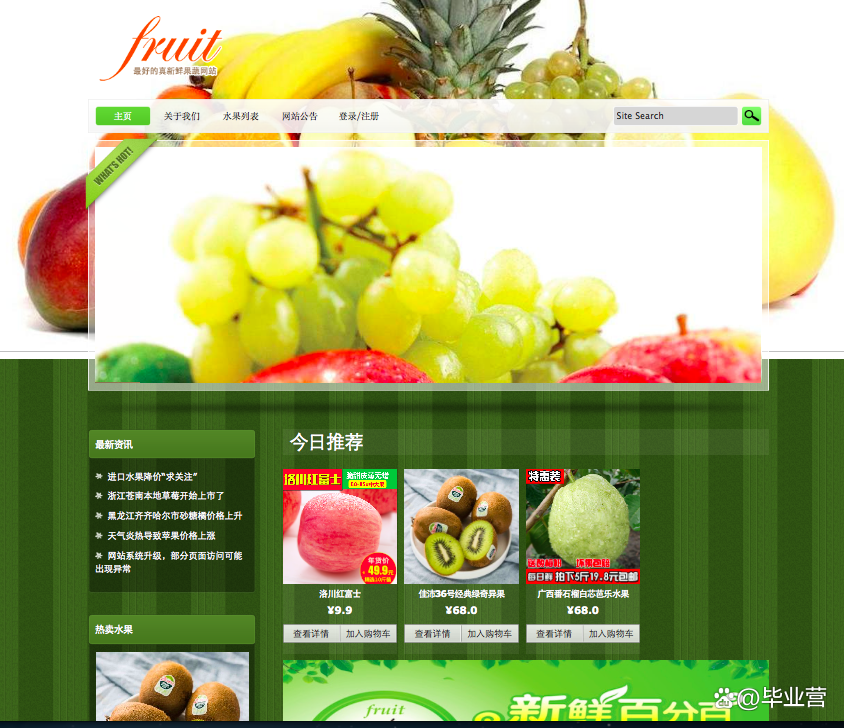 angularjs(angularjs命令) angularjs(angularjs命令)