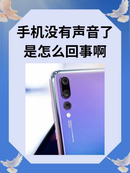 手机html5播放不了(html5代替flash播放) 手机html5播放不了(html5代替flash播放)