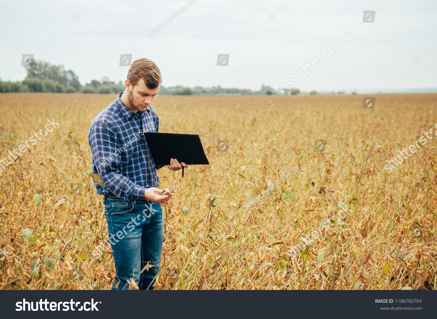 tabletcomputer(tabletcomputer英语) tabletcomputer(tabletcomputer英语)
