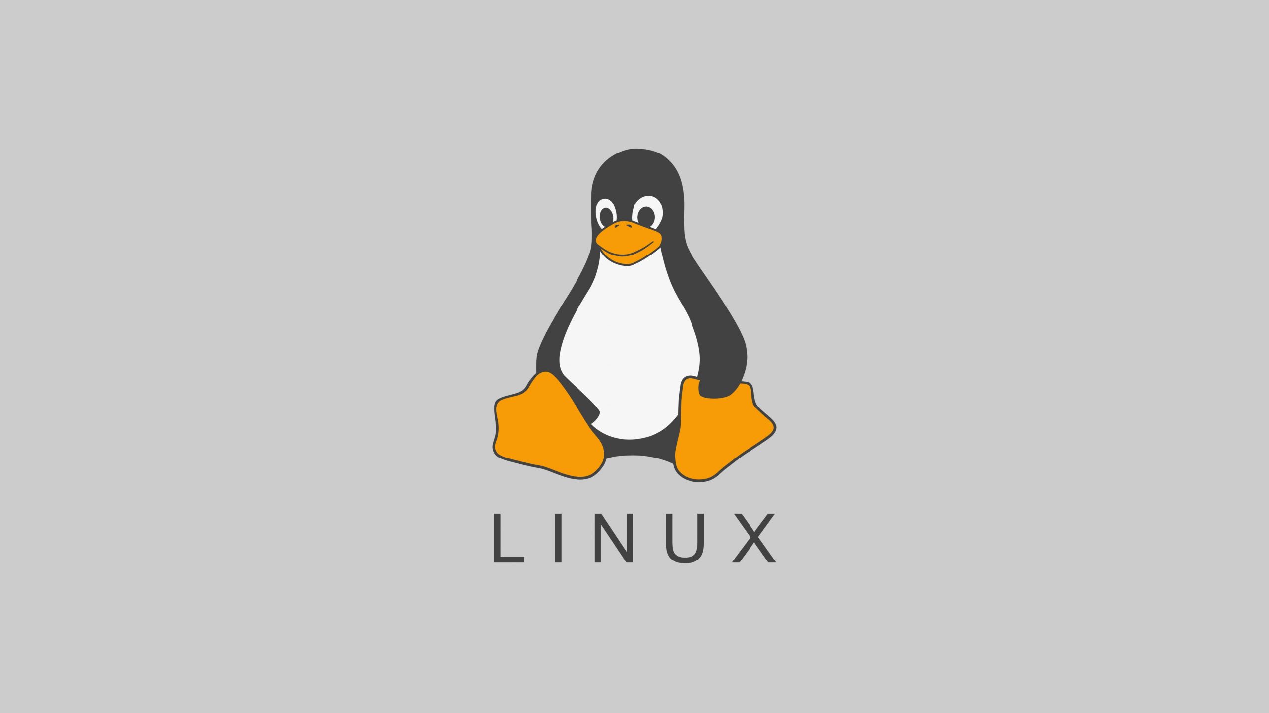 红帽linux官网(红帽linux官网退出中国了吗)