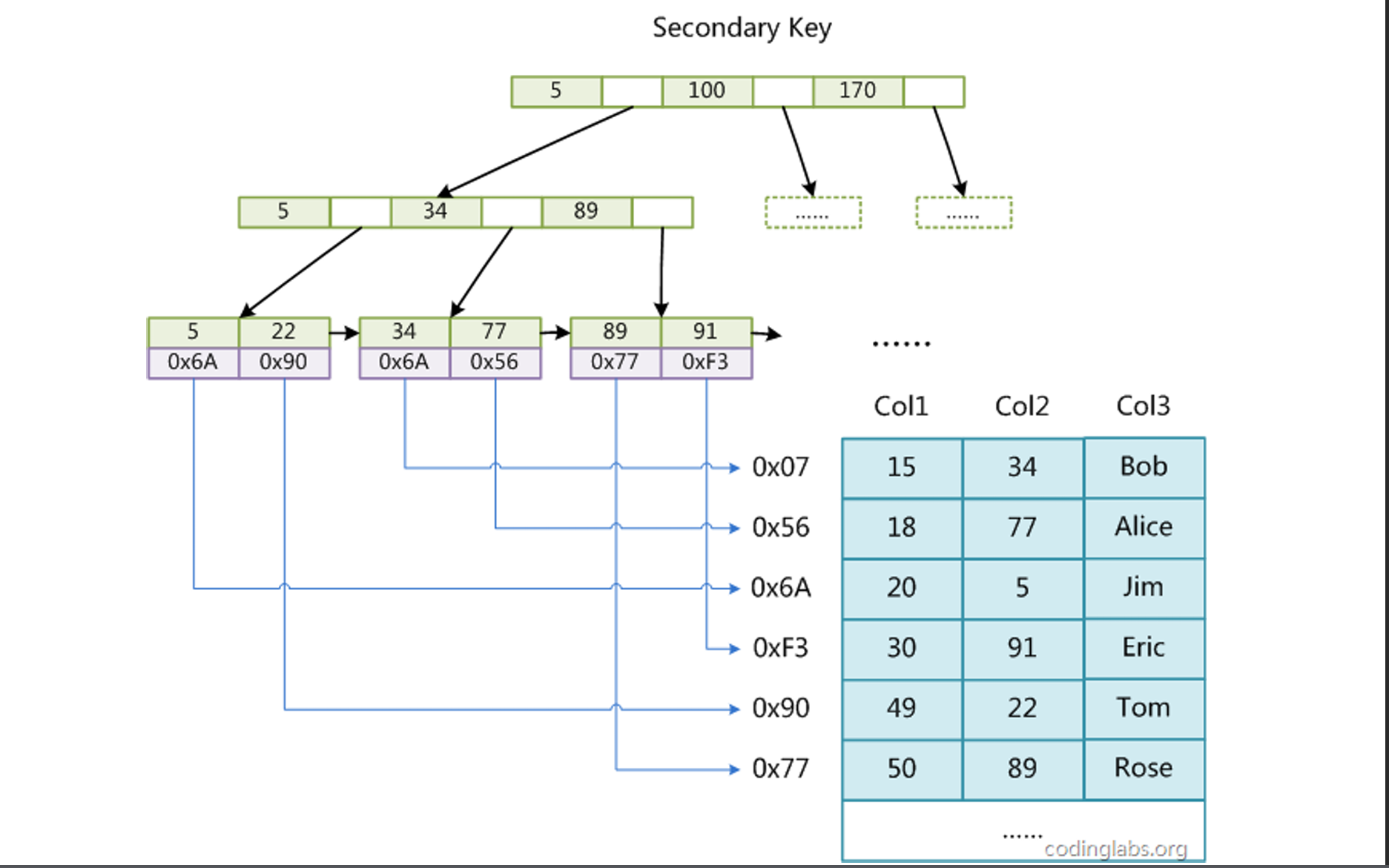 mysql数据库版本(mysql数据库版本升级)