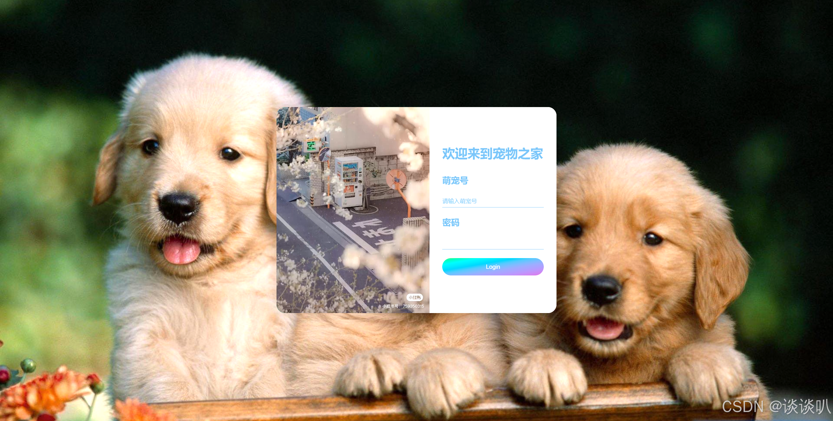 网页左下角出现javascript(JavaScript添加网页交互) 网页左下角出现javascript(JavaScript添加网页交互)
