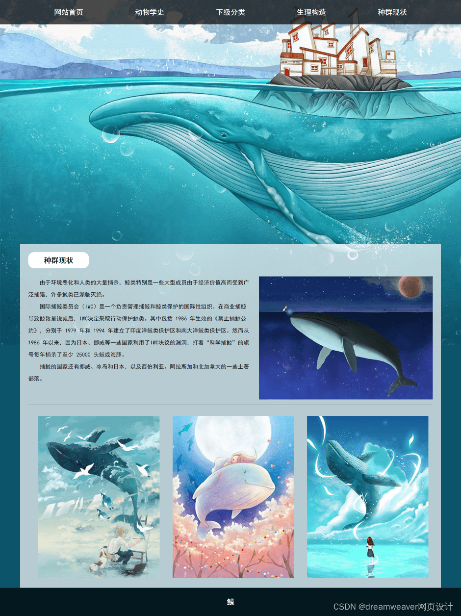dw网页制作(dw网页制作代码大全)