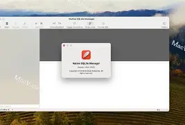 native软件(Native代码支持包下载)